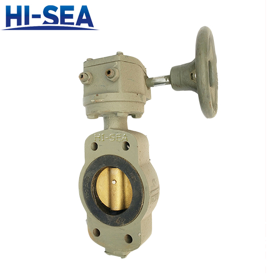 GB T303694 Marine Center Type Butterfly Valve